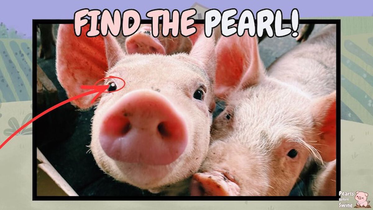 Pearls Before Swine image number null